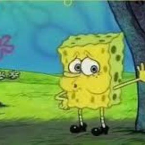 Meet your Posher, Kermit